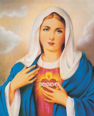 Ảnh-công-gióa---Trái-tim-đức-mẹ