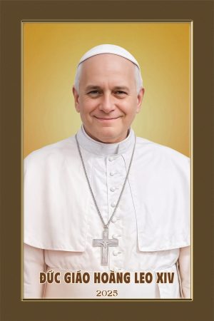 Anhconggiao.net - Ảnh ĐGH Lêô 14